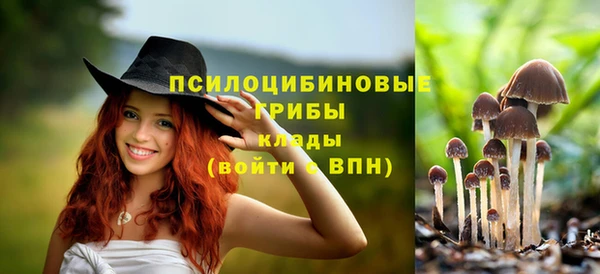 не бодяженный Арсеньев
