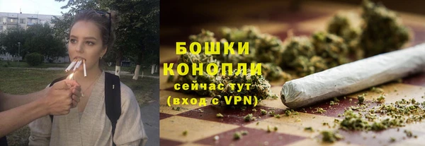 прущие грибы Аркадак