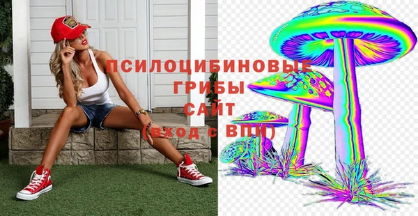 не бодяженный Арсеньев