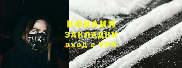 прущие грибы Аркадак