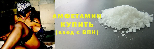 прущие грибы Аркадак
