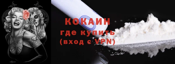 прущие грибы Аркадак