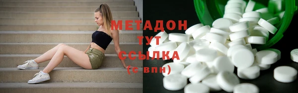 прущие грибы Аркадак