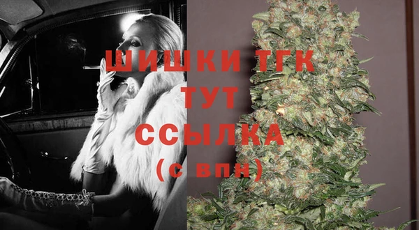 прущие грибы Аркадак