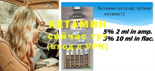 прущие грибы Аркадак