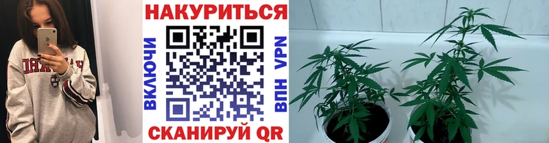 Каннабис VHQ  Тимашёвск 